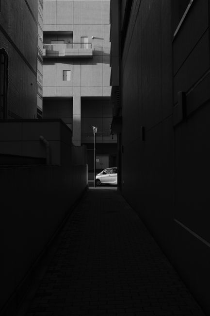 A patch of ground next to a curb or pathway is littered with scattered rubbish, predominantly consisting of flattened cardboard boxes with green and white branding, some crumpled and torn. Alongside t
