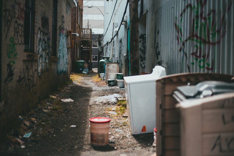 A narrow, cluttered urban alleyway flanked by graffiti-covered brick walls and corrugated metal fencing. The ground is uneven, consisting of dirt, gravel, and patches of moss, with some scattered litt